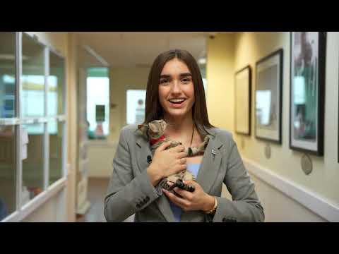 Humane Society — Cats in Need