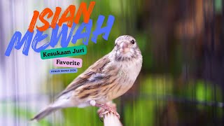 Download lagu CENGKOK ISIAN MEWAH 2026 ! MASTERAN KENARI ISIAN BLACKTHROAT GACOR SUARA JERNIH IDAMAN JURI mp3