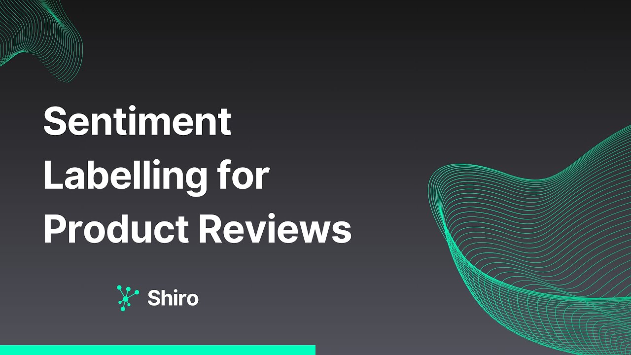 Leveraging AI for Enhanced Retail Insights: A Dive into Sentiment Analysis of Product Reviews