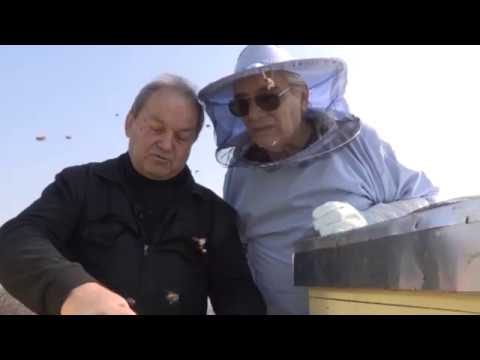 Boja meda ep.84 15.10.2019. - Pčelinji ples, borba protiv varoe...