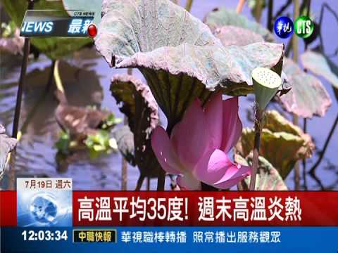 輕颱麥德姆逼近! 下週一將發海警