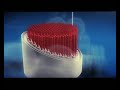 Russian Nuclear Power Plant Reactor VVER 1200 Animation