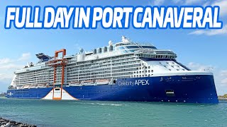 Celebrity Apex,  Mardi Gras & MORE | 6 Ship Sail Away Port Canaveral!