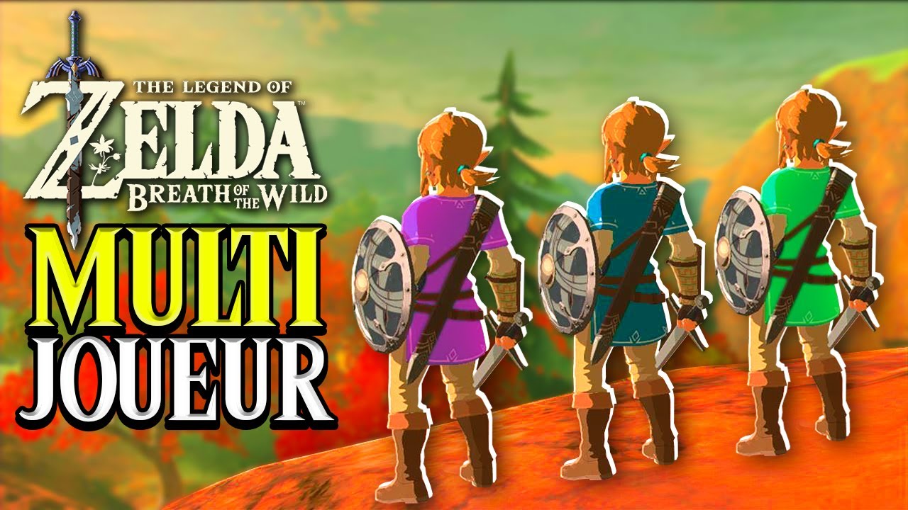 Zelda Breath of the Wild MULTIJOUEUR ???