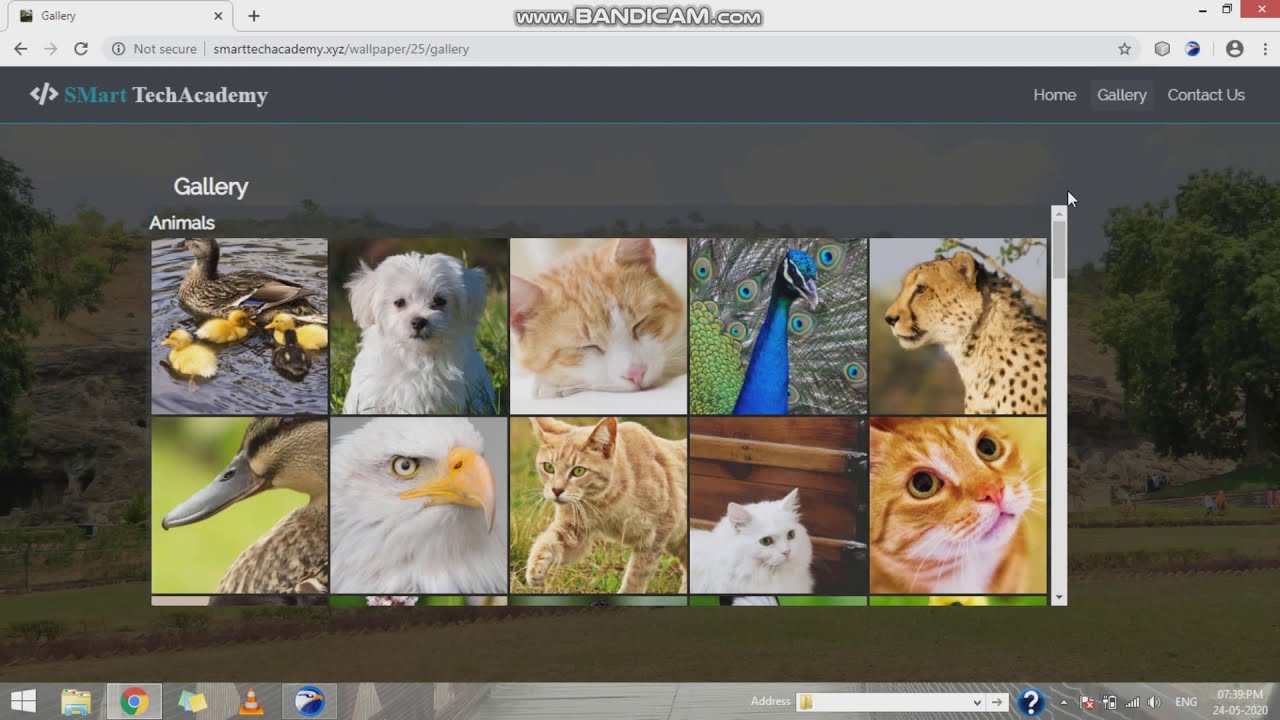 Wallpaper Admin Panel(PHP) with Android Wallpaper Demo