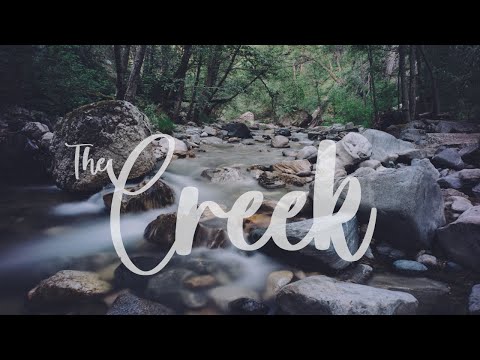 THE CREEK | Cinematic short film / Forest B-roll video