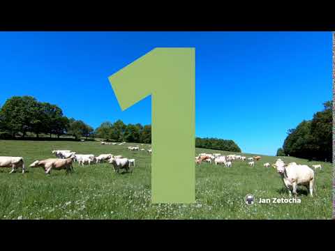 iReportér Jan Zetocha