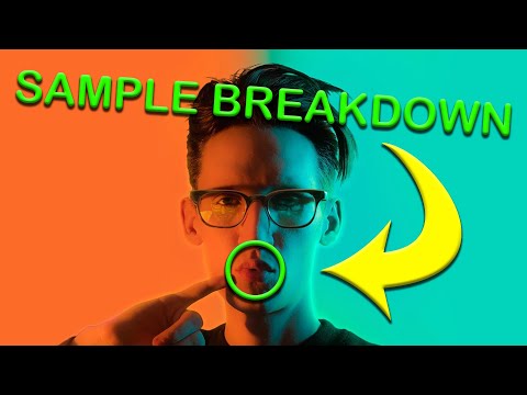 Neil Cicierega - Mouth Moods (Visual Sample Breakdown)