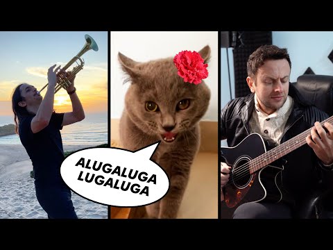 The Kiffness x Alugalug Cat 2.0 - Please Go Away (Flamenco Edit) ft. Spaul