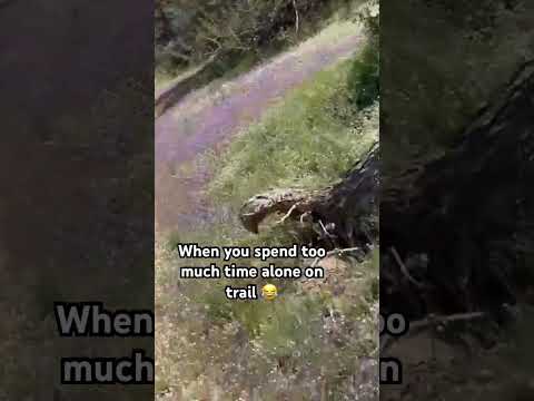 Too much time alone 😂