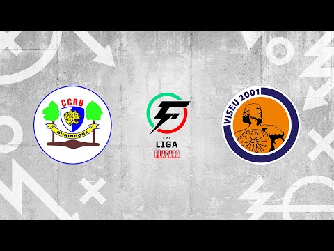 Liga Placard, 19.ª Jorn.: CCRD Burinhosa 3-5 Viseu 2001