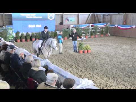 Hengstvorführung Stall Hell 2014