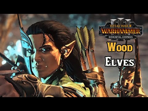 How Wood Elves Have the Most Boring Campaign Experience - Total War: Warhammer 3 Immortal Empires