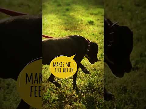 Poster image for &ldquo;Day by Day&rdquo; video