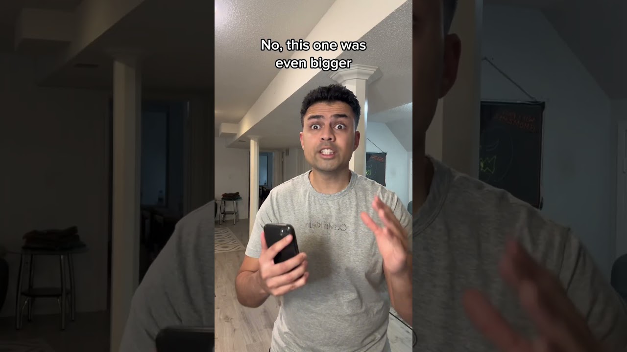 Giant white turtle 🐢 #shorts