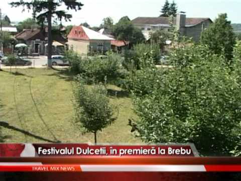 Festivalul Dulceţii, în premieră la Brebu – VIDEO