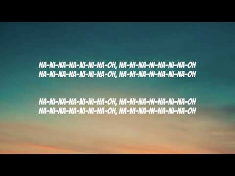 GIMS   NINAO Lyrics French & English