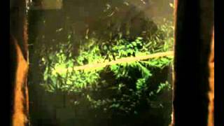 Hubert Eaves- Slow Down