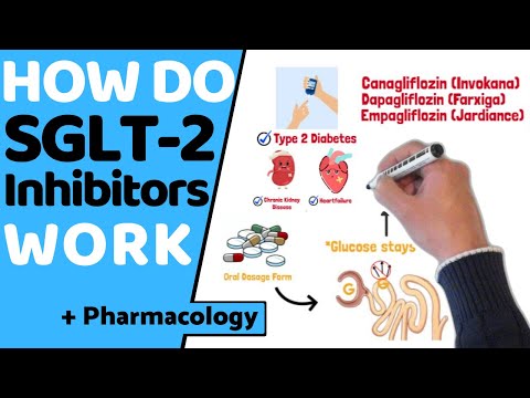 Wie wirken SGLT2-Hemmer? (EASY Pharmacology)