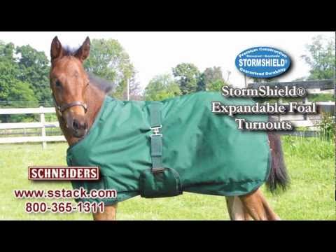 StormShield® Foal Turnout Blankets from Schneiders