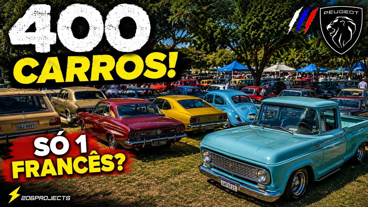 Fui num encontro de carros antigos...e só achei UM francês!