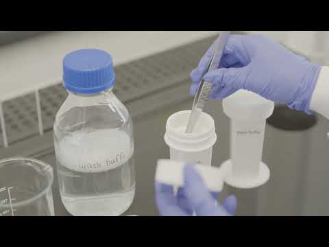 Immunohistochemistry