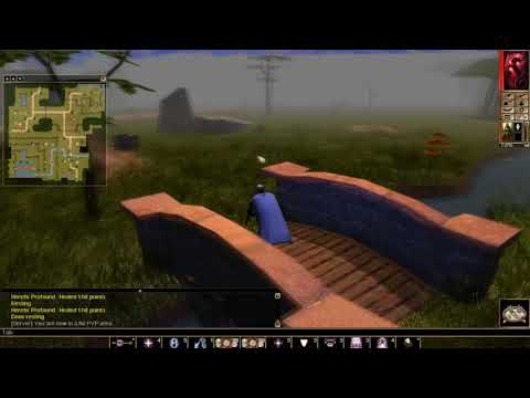 Neverwinter Nights Enhanced Edition Helping the Druids