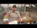 How To Prune Bare Root Fruit Trees