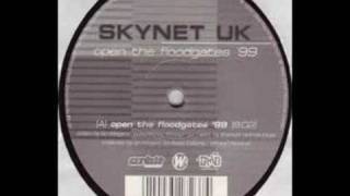 Skynet UK - Open The Floodgates´99