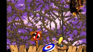 Let's Play DKC2 21-  The Blackbird