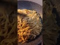 Cooking, Stir Fry Udon Noodles with Cabbage. #shorts #cooking