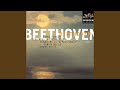 Beethoven: II. Allegro molto e vivace