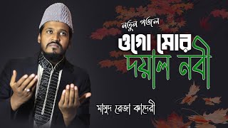 হৃদয়স্পর্শী গজল ওগো মোর দয়াল নবী | Ogo Mor Doyal Nabi | New Bangla Gojol By Masud Reza Qadri