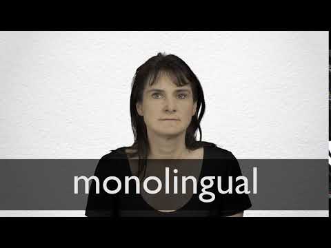 monolingual demonstration monolingual demonstration