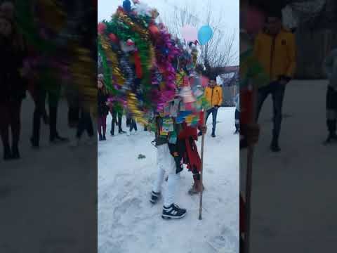 Capra slobozia noua 2019(2)