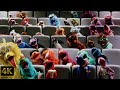 Loews Theatres Sesame Street Muppets Policy Trailer 1996 4K 5 1 FTD 1229