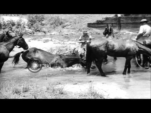 U.S. soldiers, National Guardsman of the Third Army, and aircraft, training at Ca...HD Stock Footage