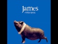 James - Dumb Jam