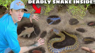 I Found a Mud Hole INFESTED with Deadly Snakes!