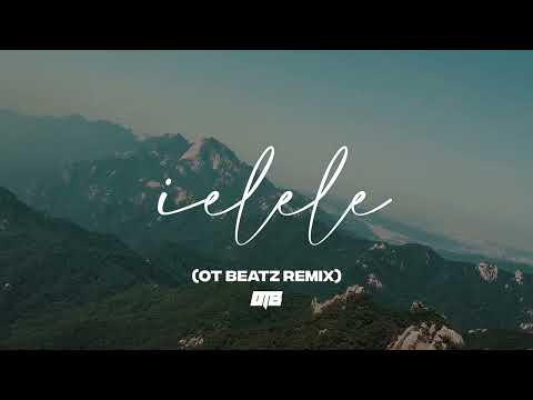 Irina Rimes x David Ciente - ielele (OT BEATZ Remix)