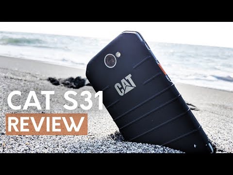 CAT S31 review