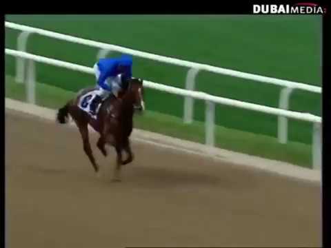 UAE Derby 2006 - Discreet Cat