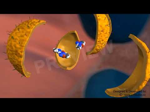 Hệ bán keo: usos da micela