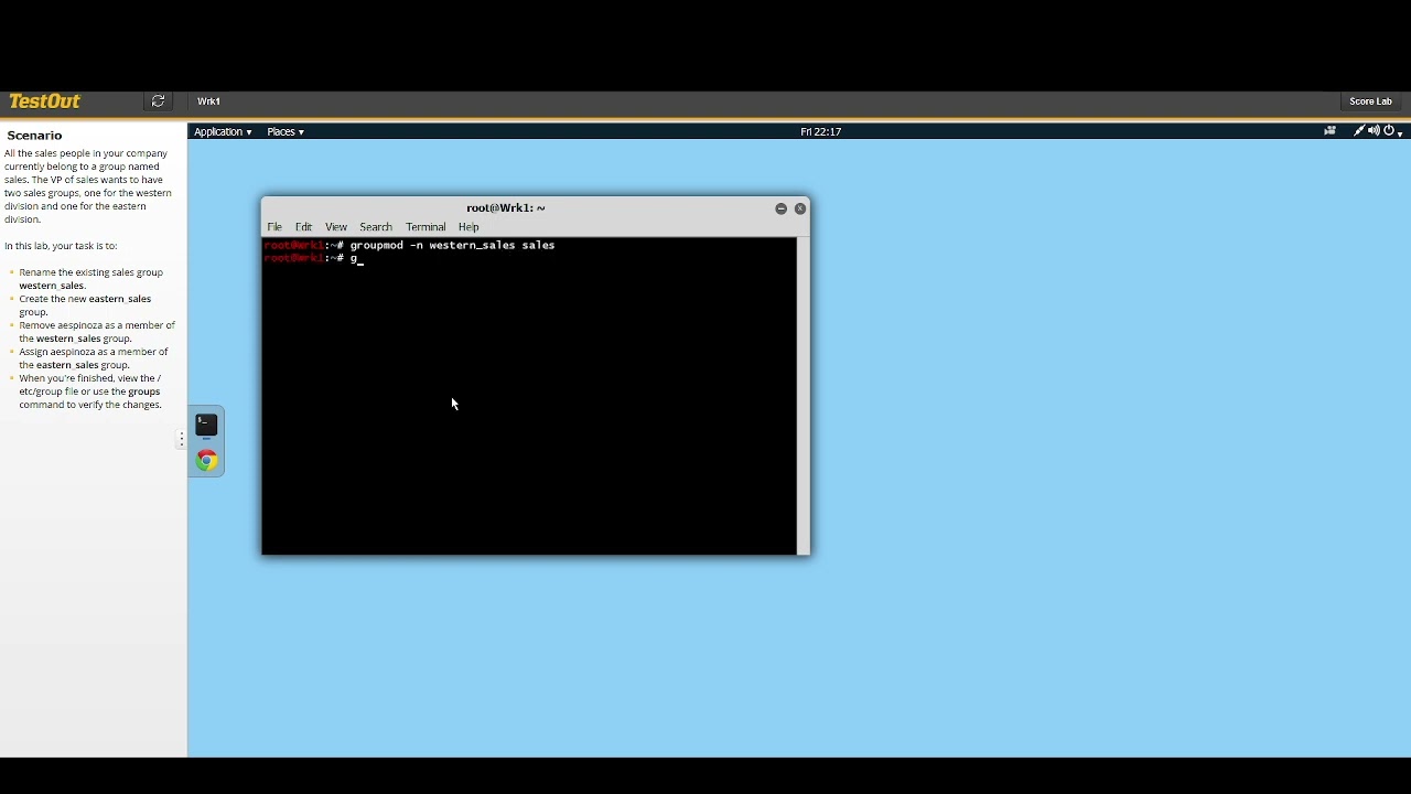 7.3.4 Rename and Create Groups