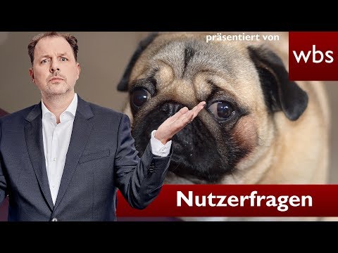 Durfte Stadt gepfändeten Mops bei eBay-verkaufen? | Nutzerfragen Rechtsanwalt Christian Solmecke