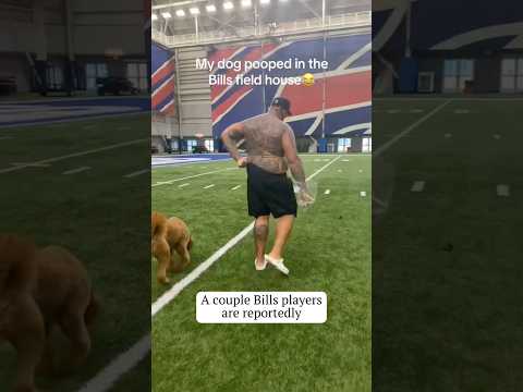 The entire Bills team got sick before week 1! #shorts #nfl #buffalobills
