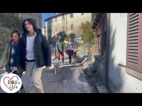 Dog's Life 3a tappa Cammino di San Bartolomeo - 12 Febbraio 2023