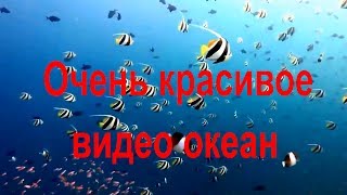 Флора или фауна рыбы