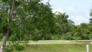 preview picture of video '2011 Peru   Iquitos, Amazon Golf Course'