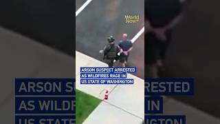 Arson suspect arrested as wildfires rage in US state of Washington